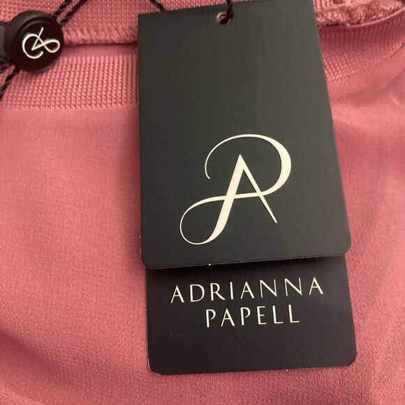 Adrianna Papell Sheer Lace Blouse Size SMALL Rose Pink Retro Mesh Coquette - Picture 6 of 11